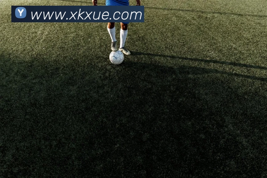 开云(中国)Kaiyun·官方网站 - 登录入口服务体系